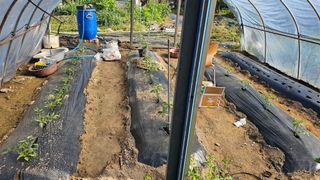 삼례텃밭지기님의 자유주제 · 자유게시판 작성글 사진