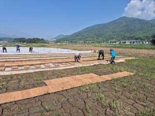 사천시향촌동 돼지띠님의 자유주제 · 자유게시판 작성글 사진