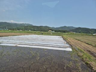 사천시향촌동 돼지띠님의 자유주제 · 자유게시판 작성글 사진