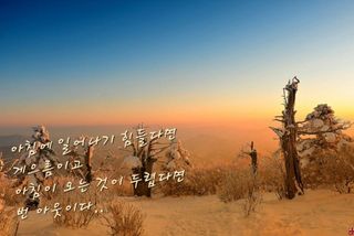 젠틀맨님의 자유주제 · 자유게시판 작성글 사진