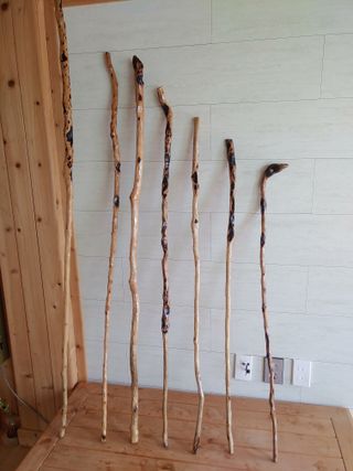 이현상님의 자유주제 · 자유게시판 작성글 사진