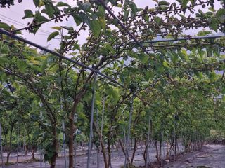 정영기대산축산농부♡님의 자유주제 · 자유게시판 작성글 사진