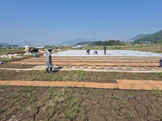 사천시향촌동 돼지띠님의 자유주제 · 자유게시판 작성글 사진
