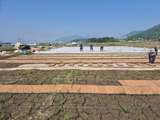 사천시향촌동 돼지띠님의 자유주제 · 자유게시판 작성글 사진