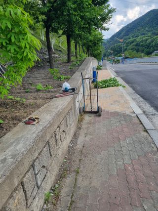 김용대님의 자유주제 · 자유게시판 작성글 사진