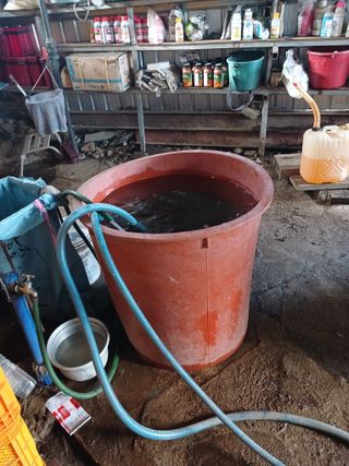 알 수 없음님의 자유주제 · 자유게시판 작성글 사진