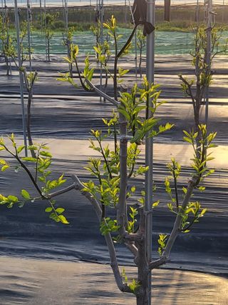 이동엽(양지팜)님의 자유주제 · 자유게시판 작성글 사진