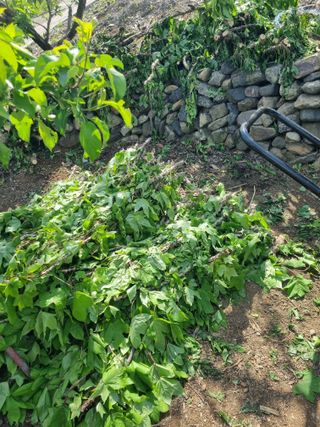 김용대님의 자유주제 · 자유게시판 작성글 사진