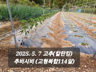 박성민님의 자유주제 · 자유게시판 작성글 사진