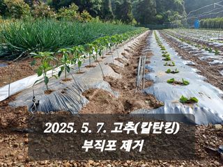 박성민님의 자유주제 · 자유게시판 작성글 사진