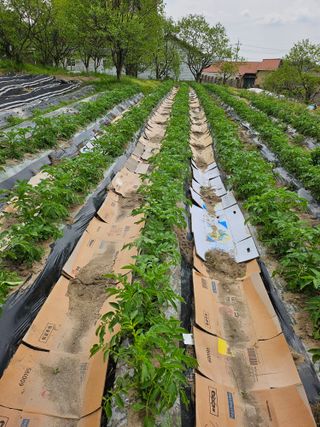박종기님의 자유주제 · 사진전 작성글 사진