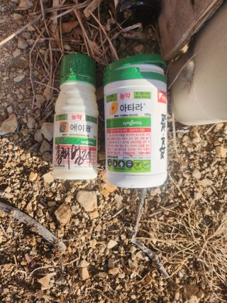 두릅나무님의 자유주제 · 자유게시판 작성글 사진