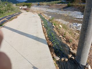 알 수 없음님의 자유주제 · 자유게시판 작성글 사진