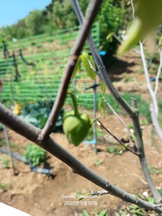 전진규.해돋이님의 자유주제 · 자유게시판 작성글 사진