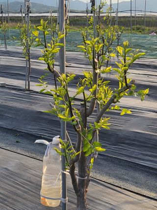 이동엽(양지팜)님의 자유주제 · 자유게시판 작성글 사진