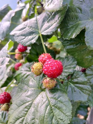 오늘 이순간님의 자유주제 · 자유게시판 작성글 사진