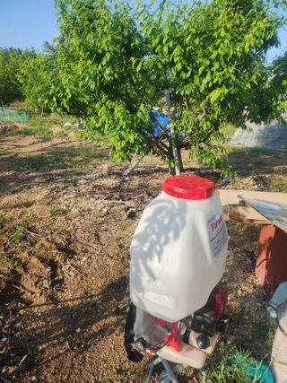 두릅나무님의 자유주제 · 자유게시판 작성글 사진