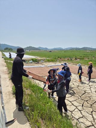 김영진(전남영광)님의 자유주제 · 자유게시판 작성글 사진