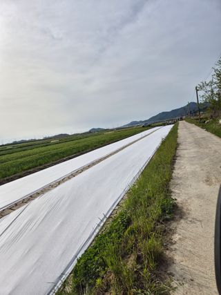 김영진(전남영광)님의 자유주제 · 자유게시판 작성글 사진