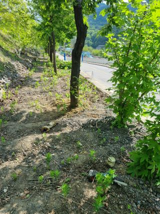 김용대님의 자유주제 · 자유게시판 작성글 사진