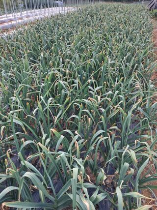 정상훈님의 자유주제 · 자유게시판 작성글 사진