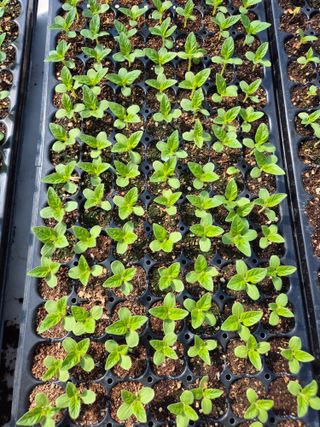 김연숙님의 자유주제 · 자유게시판 작성글 사진