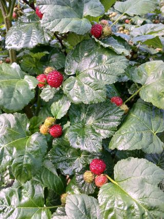 오늘 이순간님의 자유주제 · 자유게시판 작성글 사진