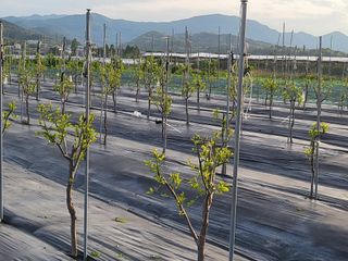 이동엽(양지팜)님의 자유주제 · 자유게시판 작성글 사진