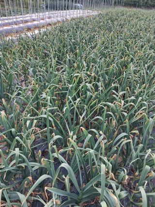 정상훈님의 자유주제 · 자유게시판 작성글 사진