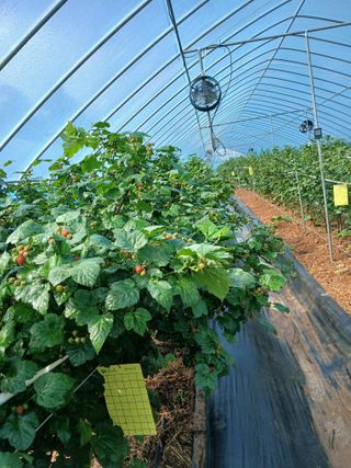 오늘 이순간님의 자유주제 · 자유게시판 작성글 사진