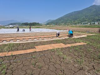 사천시향촌동 돼지띠님의 자유주제 · 자유게시판 작성글 사진