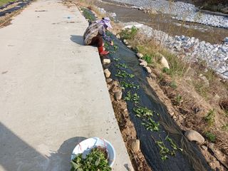알 수 없음님의 자유주제 · 자유게시판 작성글 사진