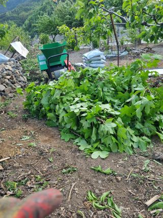 김용대님의 자유주제 · 자유게시판 작성글 사진