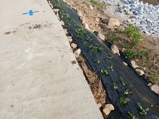 알 수 없음님의 자유주제 · 자유게시판 작성글 사진