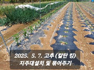 박성민님의 자유주제 · 자유게시판 작성글 사진