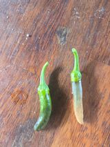 팜모닝 농사, 무엇이든 물어보세요!·참여글 게시글 이미지