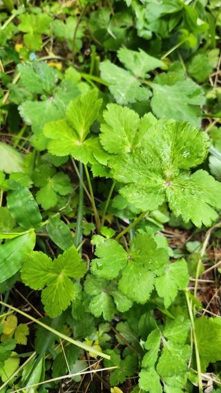 장흥 모경화 님의 작성글 사진