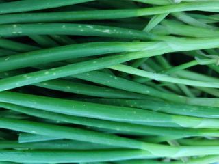 이연종님의 자유주제 · 자유게시판 작성글 사진