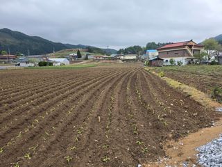 장관덕님의 자유주제 · 자유게시판 작성글 사진