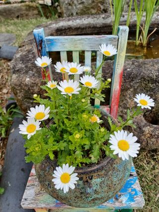 남궁봉님의 자유주제 · 자유게시판 작성글 사진