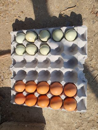 김영복님의 자유주제 · 자유게시판 작성글 사진