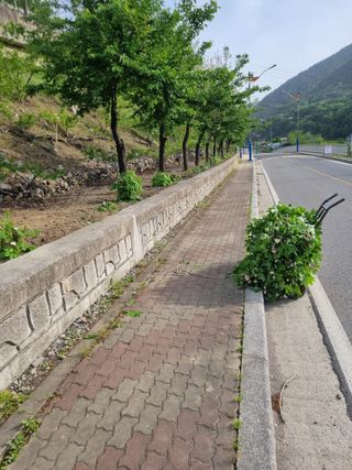 김용대님의 자유주제 · 자유게시판 작성글 사진