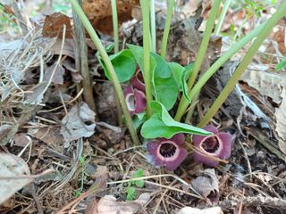 남궁봉님의 자유주제 · 자유게시판 작성글 사진