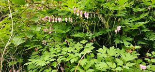 해오름달님의 자유주제 · 자유게시판 작성글 사진