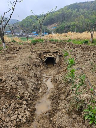 지식농부님의 작성글 사진