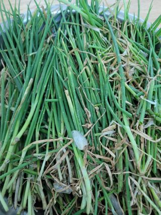 이연종님의 자유주제 · 자유게시판 작성글 사진