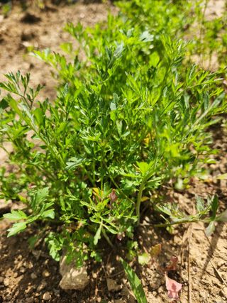 솔올님의 자유주제 · 자유게시판 작성글 사진