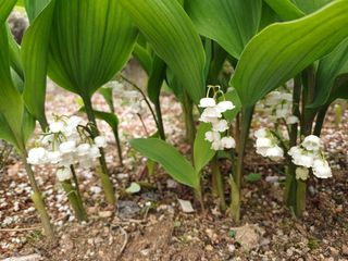 남궁봉님의 자유주제 · 자유게시판 작성글 사진