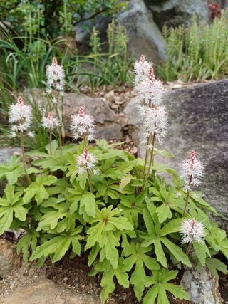 남궁봉님의 자유주제 · 자유게시판 작성글 사진