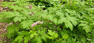 해오름달님의 자유주제 · 자유게시판 작성글 사진